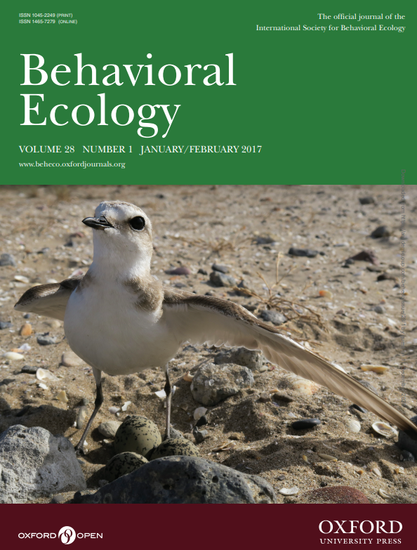 Obviously, these defense strategies work and evolution has maintained them. It has been shown that nests of Kentish Plovers couples who risk more with these distraction displays survive longer:  https://academic.oup.com/beheco/article/28/1/260/2453523#.X9Nx9kkHRhw.twitter 8/13