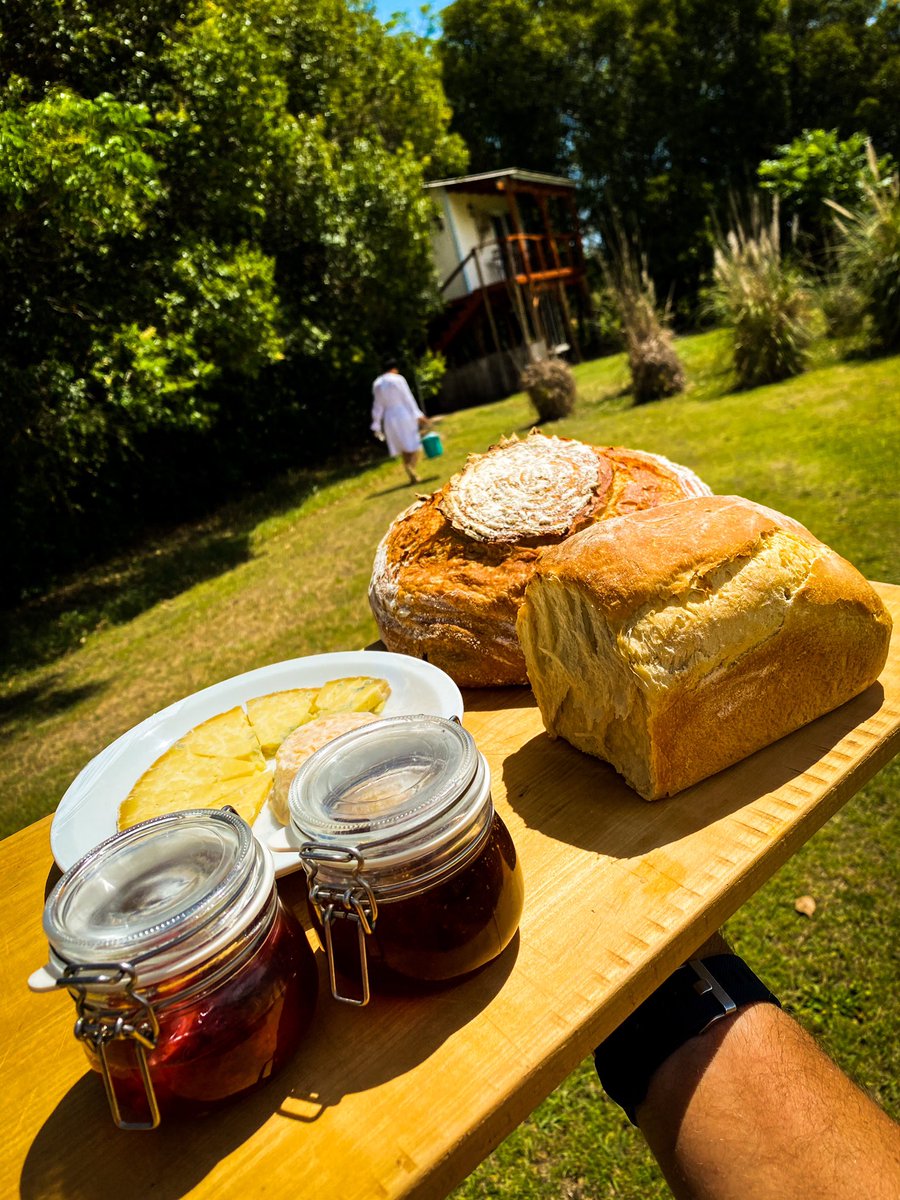 Esperando huéspedes en la casa del árbol.