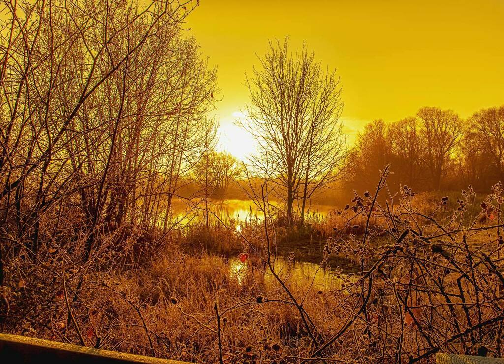 GlobalDiscovery's tweet photo. Same little pond that I posted before, different day. . It turns out it is real gold after all. . Molten though, so I couldn’t take any. . #lake #pond #pondsofinstagram #sunrise #dawn #morning #gold #money #ukpotd #peterborough #landscapephotography #lightroom #somefilter #y… https://t.co/BDg2OqNpVj