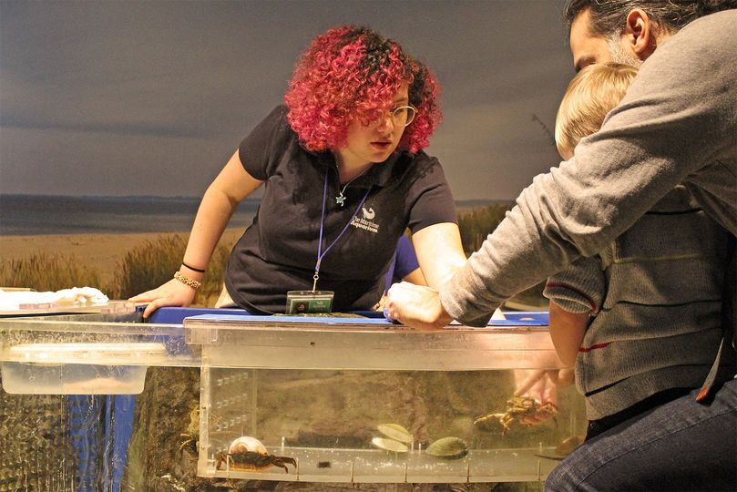 VolunteerSquare's tweet photo. @MaritimeAqua will hold a training for Gallery Ambassador volunteers in January 2021. Register by December 31st! https://t.co/YUyPImxYwG https://t.co/J24u2TZLTo