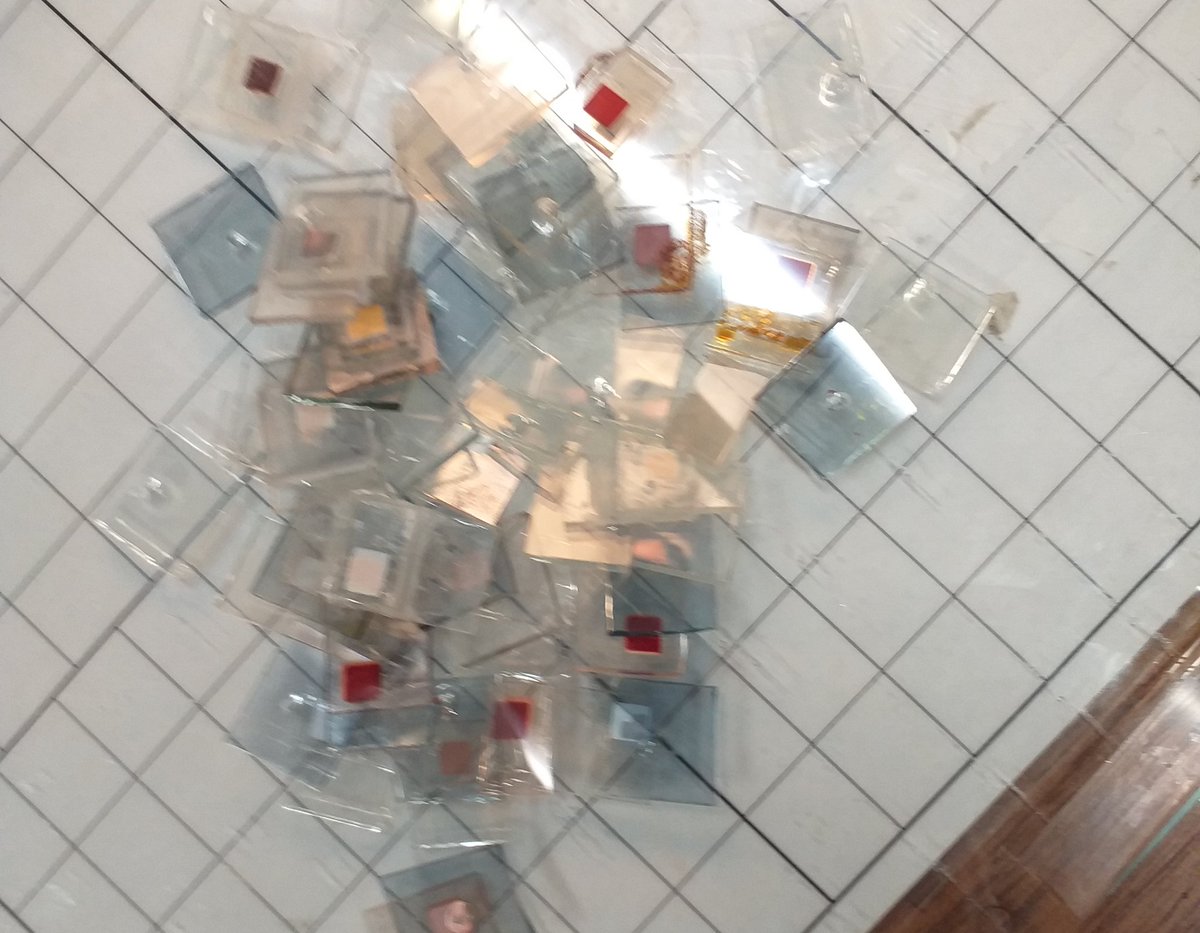 'Come do solar cells', they said.
'It will be fun!', they said...
My first "batch":
#solarcellgraveyard #solarcell #phdlife #AcademicTwitter