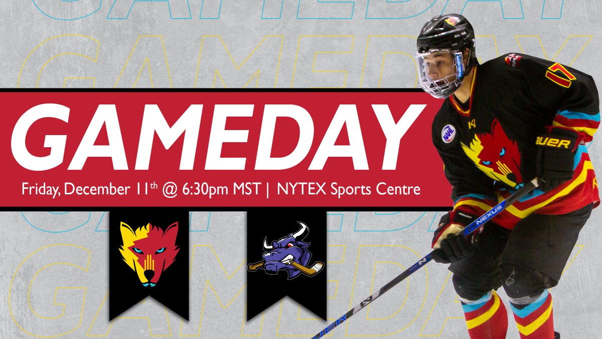 new mexico ice wolves jersey