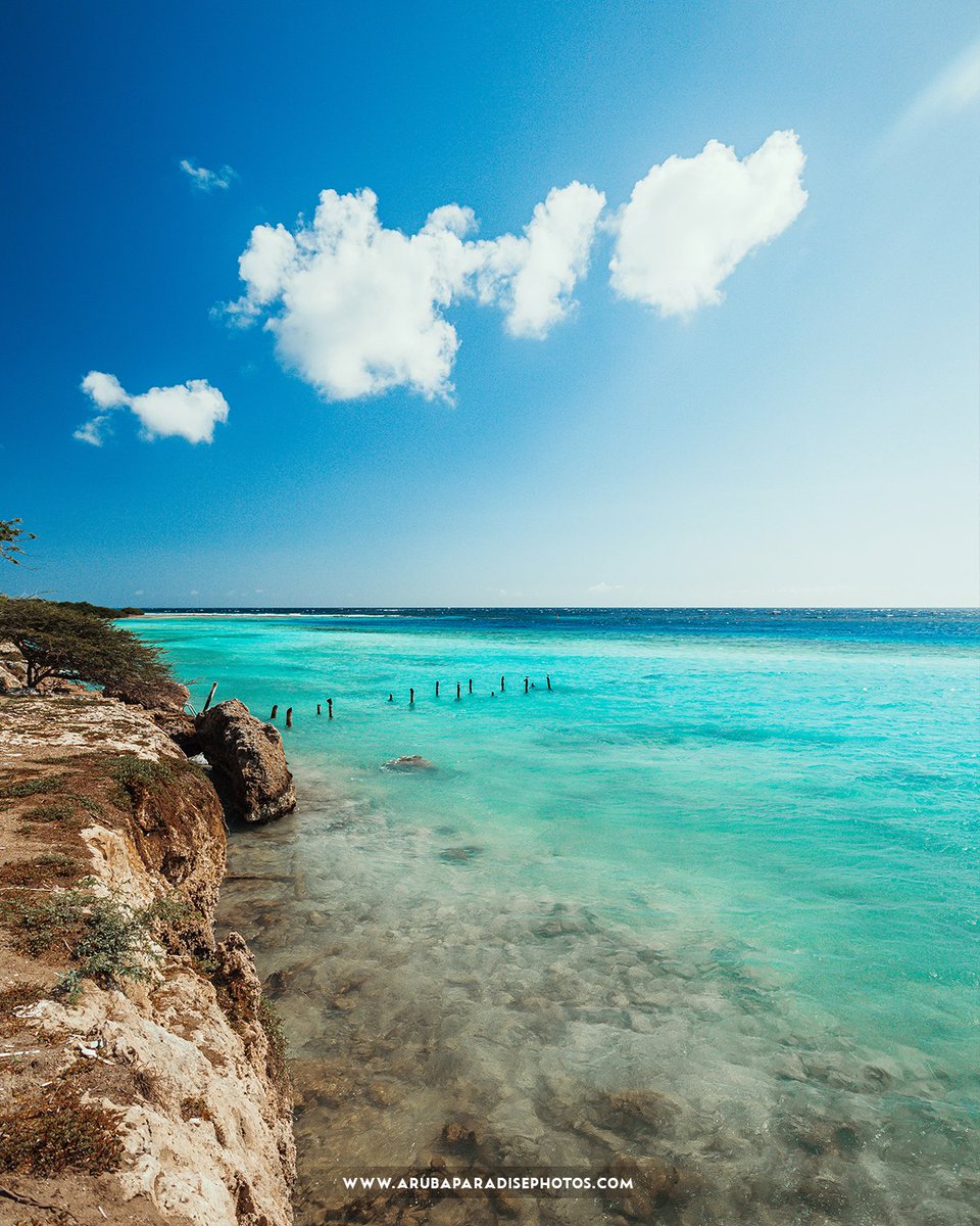 The incredible blue colored water at Mangel Halto is an invitation to jump in!
#aruba 
___⠀
If interested in one of many photos, visit arubaparadisephotos.com or contact me with a pm.

#onehappyisland #island #caribbean #naturephotography #naturalbridge #islandvibes #beach