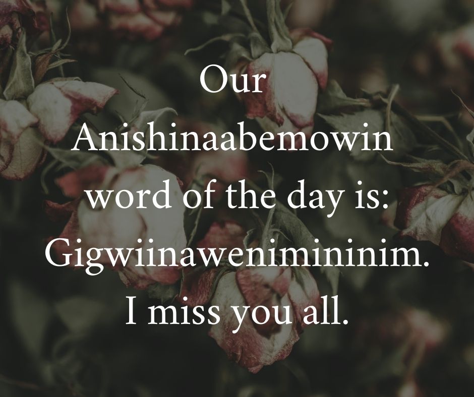 #Anishinaabemowin #Ojibwe