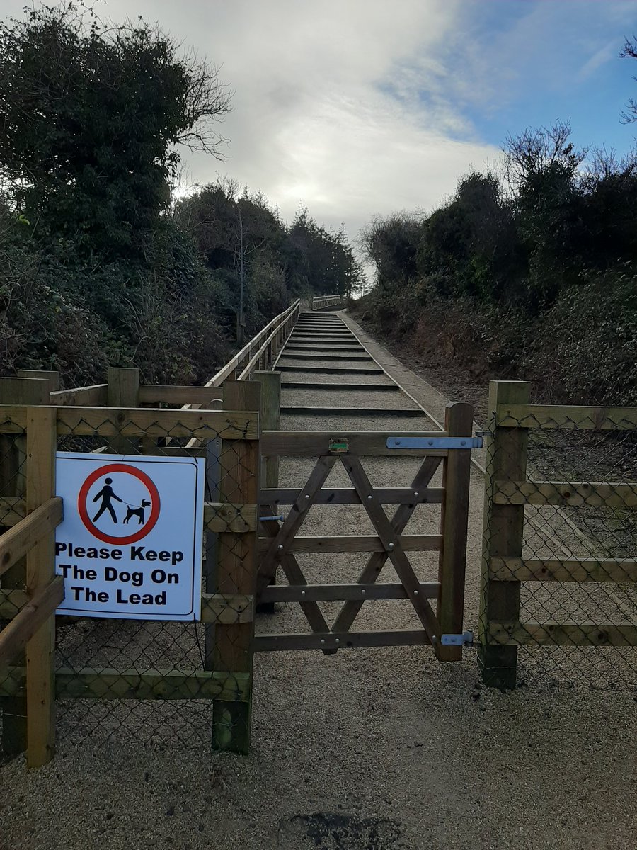 grehango's tweet photo. Day #11/12. 🤪 still walking around Foxrock, Cabinteely &amp; Stepaside with my pal Dara👍Lovely long day! #islwalk in aid of @HFSchoolDeaf1 -
Today's quote from the winner of @dublinmarathon 2013 @maztherunner 'Believe in yourself and be willing to work hard' 👍
 #islrun https://t.co/MmHxBfYVQj
