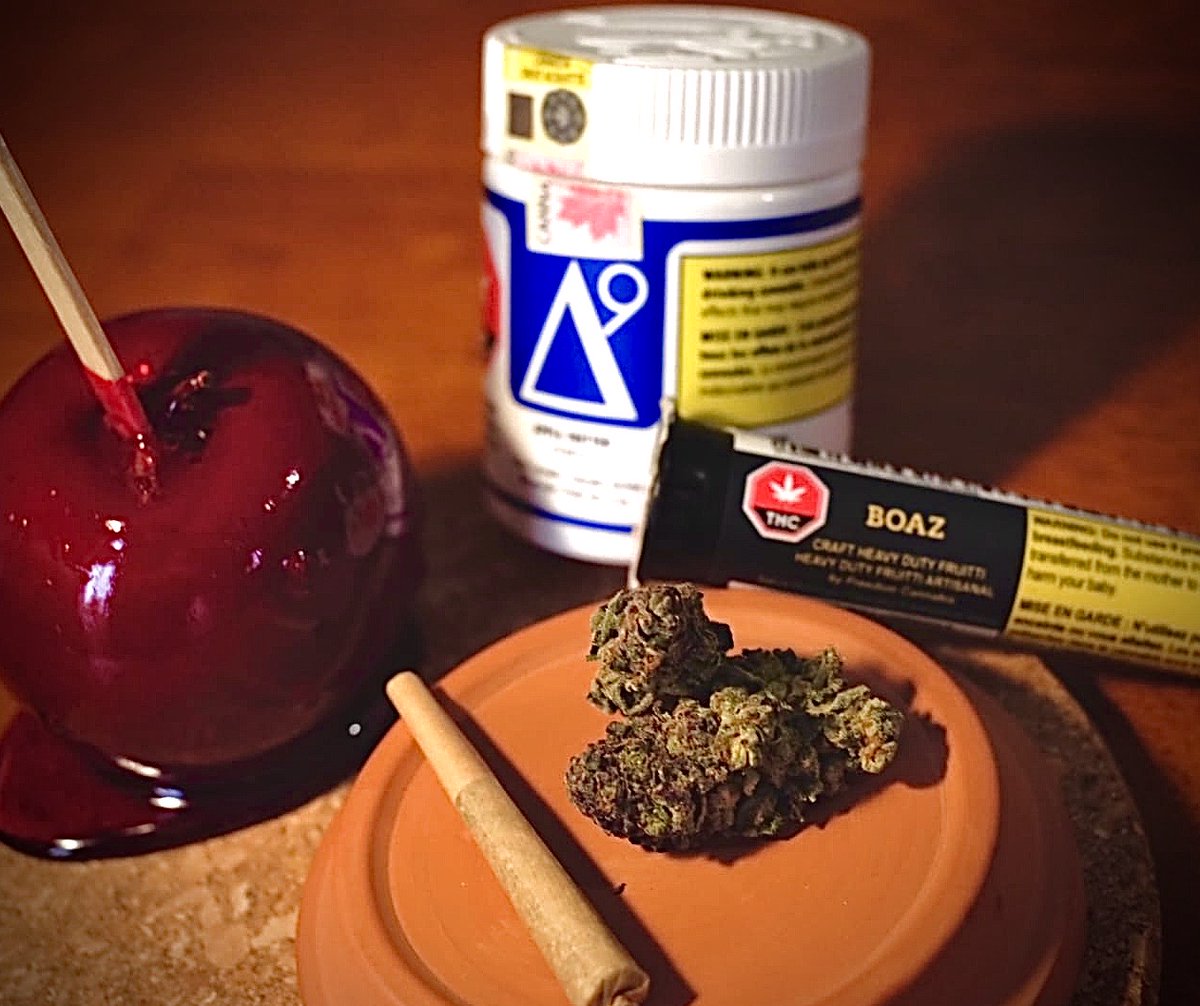the_oz_store's tweet photo. Here we have Apple Fritter by @delta_9_cannabis and Heavy Duty Fruity by @boazcraftingcannbis 
Have you ever tried either? 😋 https://t.co/BEPUD4LKU3