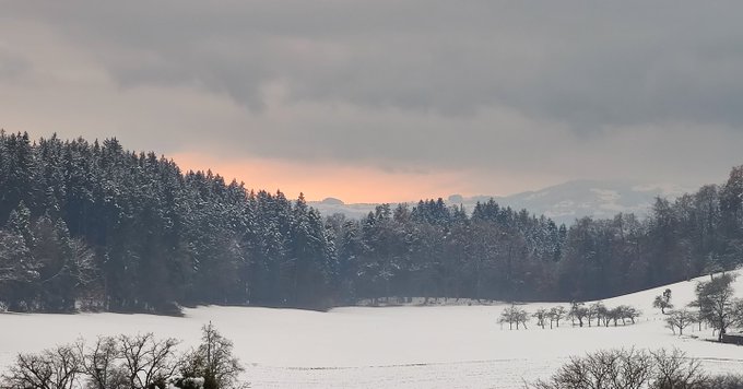 Humboldt-Haus, Achberg (@hachberg) on Twitter photo 