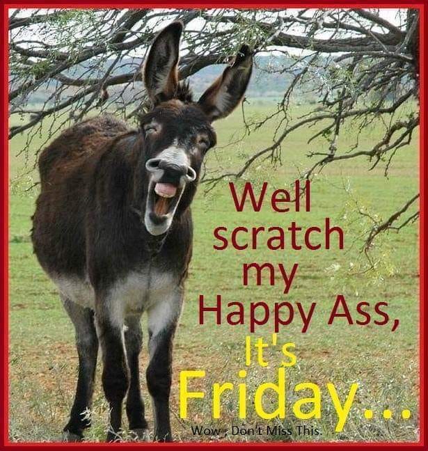 Make the most of all the Fridays we have left this year folks. 

2021's are likely to be shit.