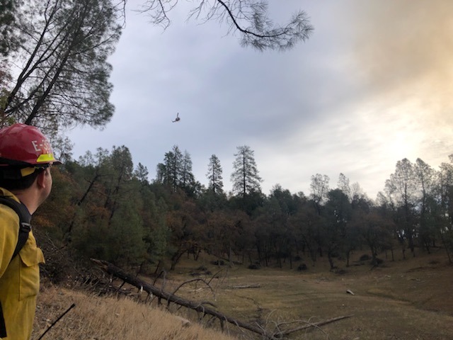 ShastaTrinityNF's tweet photo. Test fire was successful &amp; crews are proceeding with aerial ignitions on 411-acre Bear Mountain #PrescribedFire near Jones Valley on #ShastaLake. #Smoke may be visible from #Redding and I-5. Photos courtesy A. Saltzman &amp; K. Osborne https://t.co/JYWdSxq619 #ActiveForestManagement https://t.co/IlE7pfmIuN