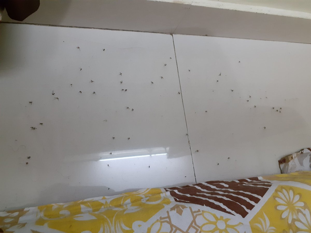 Sir Please have a look , my everyday fight for a good night in a future city #navimumbai