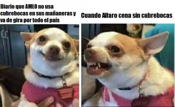 Roy_Zdo's tweet photo. @Tumbapuercoss como cuando en morena comienzan a perder su salud mental y hasta la cena de enrique alfaro les hace daño. https://t.co/Nhrt0YEFaQ