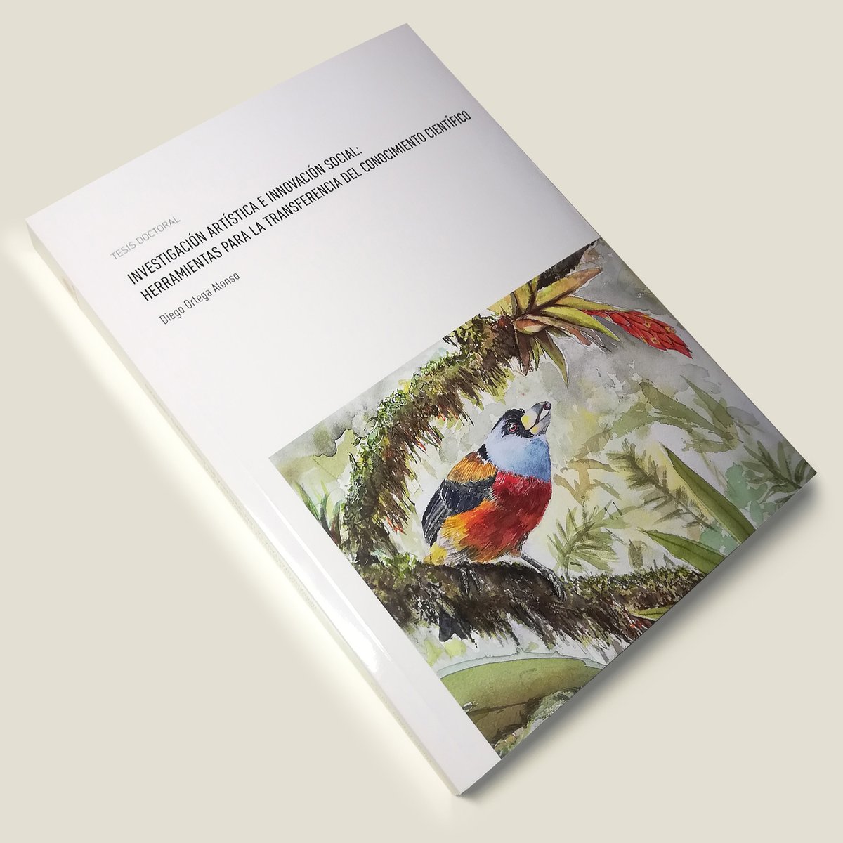 Diego OA tweet media