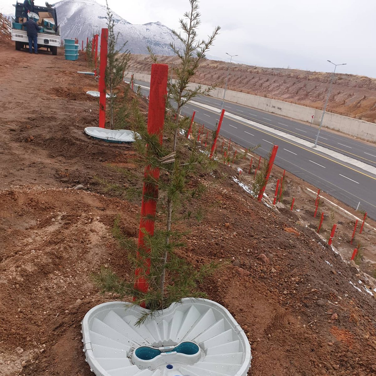 Kayseri Büyükşehir Belediyesi EKOBOX ile  Sulamasız Ağaç yetiştirmeye başladı...