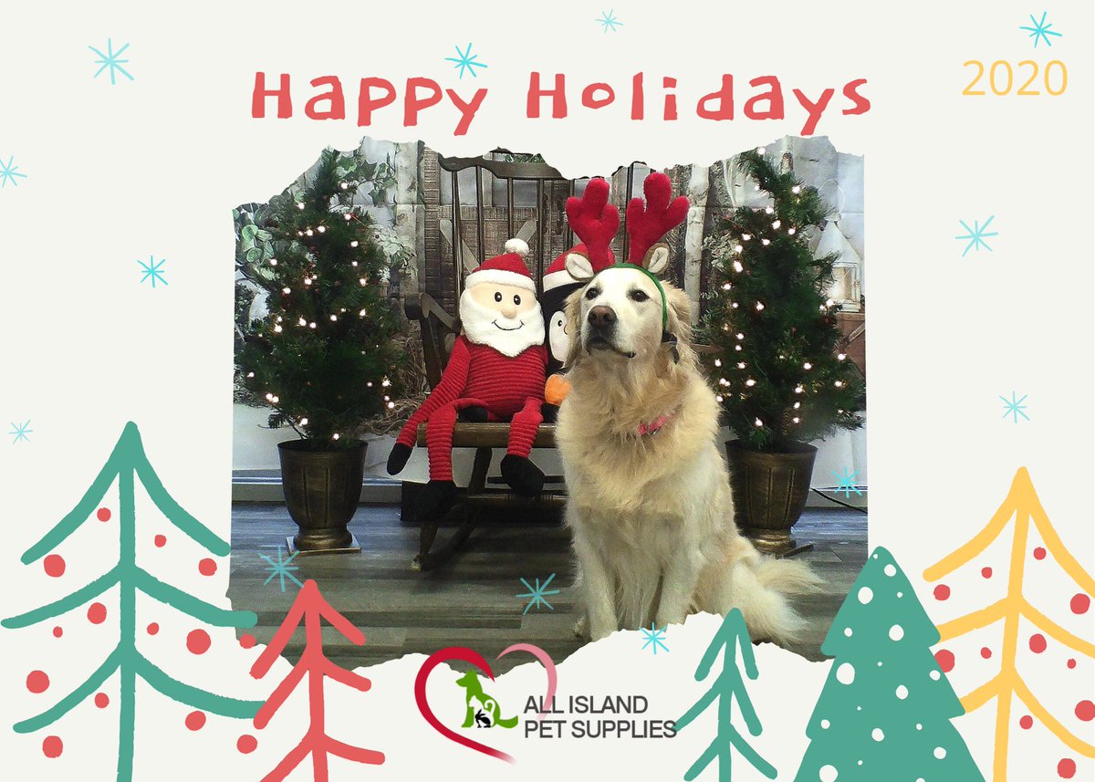 Thank you All Island Pet Supplies ❣️ warm holiday wishes to all 🌲