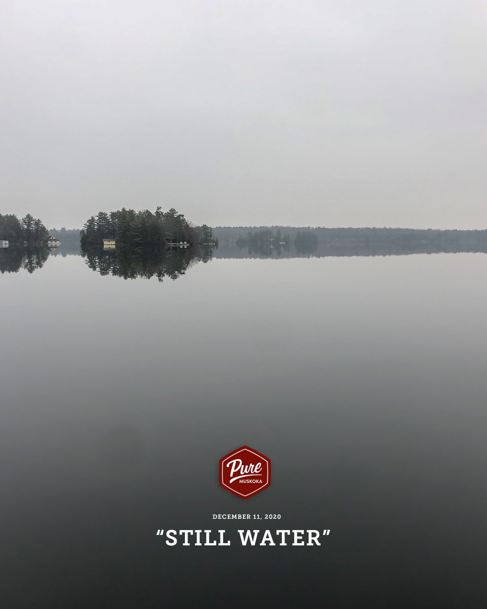 Pure Muskoka tweet media