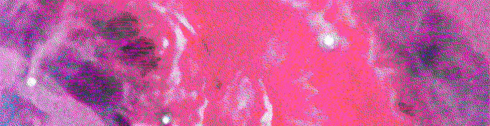 They were a sharp lot, and pushed me frequently to the "I don't know" point. I had to go back and learn a lot of internals and system dynamics I hadn't even thought of yet.