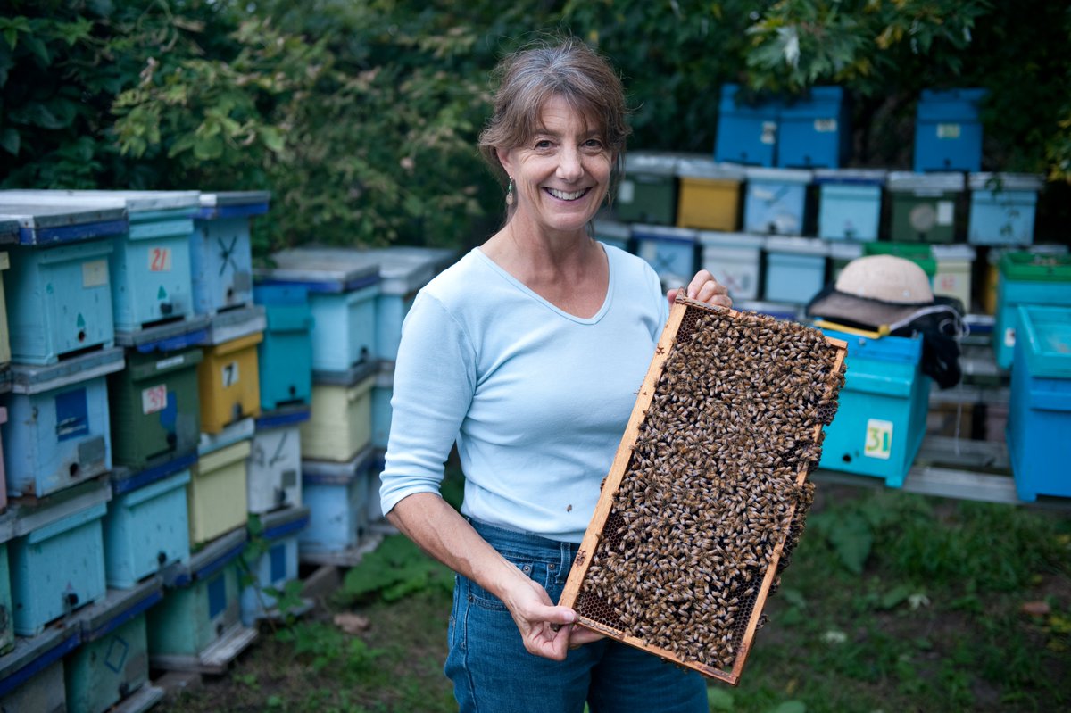 Our next event is 12/18 with Dr. Marla Spivak of <a href="/UMNews/">University of Minnesota</a>! She'll be talking about bees &amp; biophilia.  

Free tix available Monday:
creativemornings.com/talks/dr-marla…