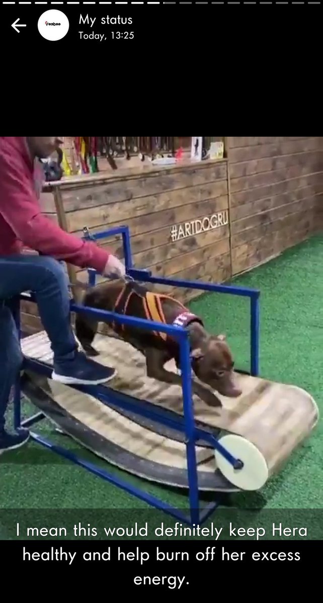 I moved on to where we would find our potential buyers. Facebook groups are always a great place to start and would help determine whether people would be interested in buying the product or not.