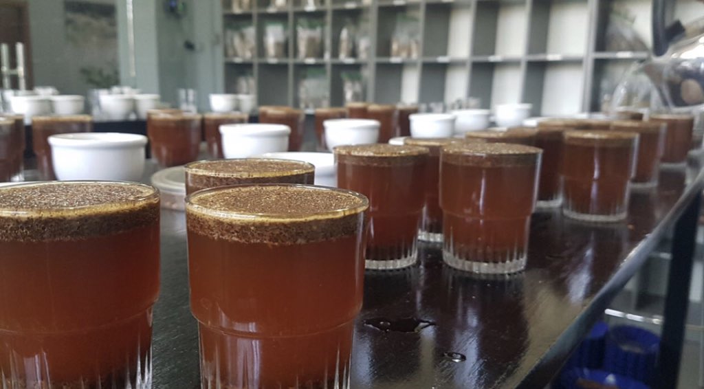 AddisExporter's tweet image. Cupping new crop, Genji Challa, Yukro, Sedi Loya, Kecho Andercha, Women Coffee Farmers Honey Process Genji Challa and Smallholder Farmers lots