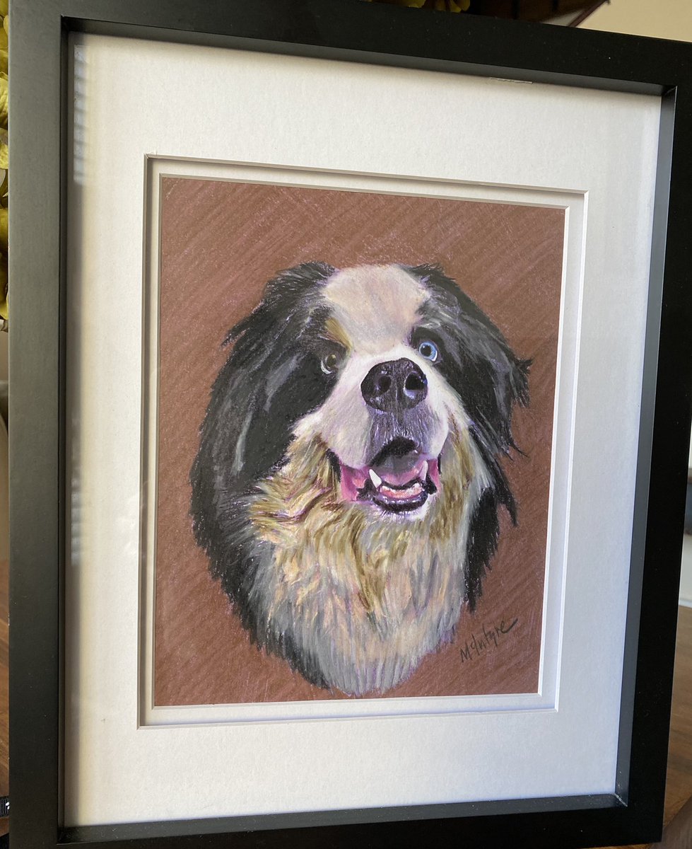 rebeccascout1's tweet image. Our beloved Scout ❤️🐾 March 27, 2010- December 7, 2020🌈 RIP Buttonhead