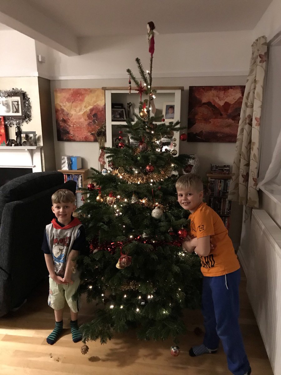 Slmerrington's tweet photo. #TreesUp...I've also donated £5 to @nationaltrust for their campaign, who will plant 20m trees to replace the ones in our lounge! Take a pic, tag 5, pass it on. Thanks for nominating me @Angelawilson__ I nominate @crewennady @Rozzyreads @LauraEmilyElson @BroomOwl @jacquiwalls https://t.co/u6ATOBlaoI