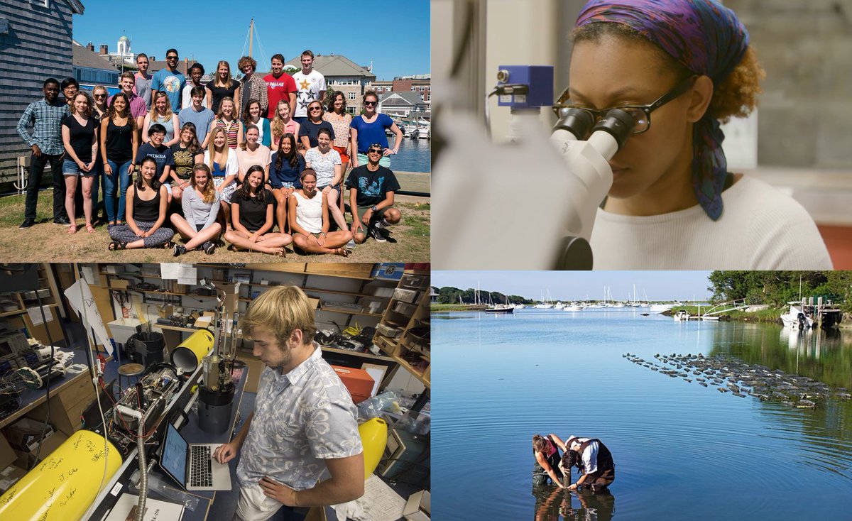 whoi_academic's tweet photo. Undergrads: looking for a summer research opportunity in #oceanscience or engineering? Attend an info session today at 6pm ET or Friday 11am ET for the Summer Student Fellowship @WHOI

Registration &amp; schedule: https://t.co/GpWlKk6CBS

#AGU20 #STEMdiversity #WHOIssf https://t.co/3Glq1uFKiM