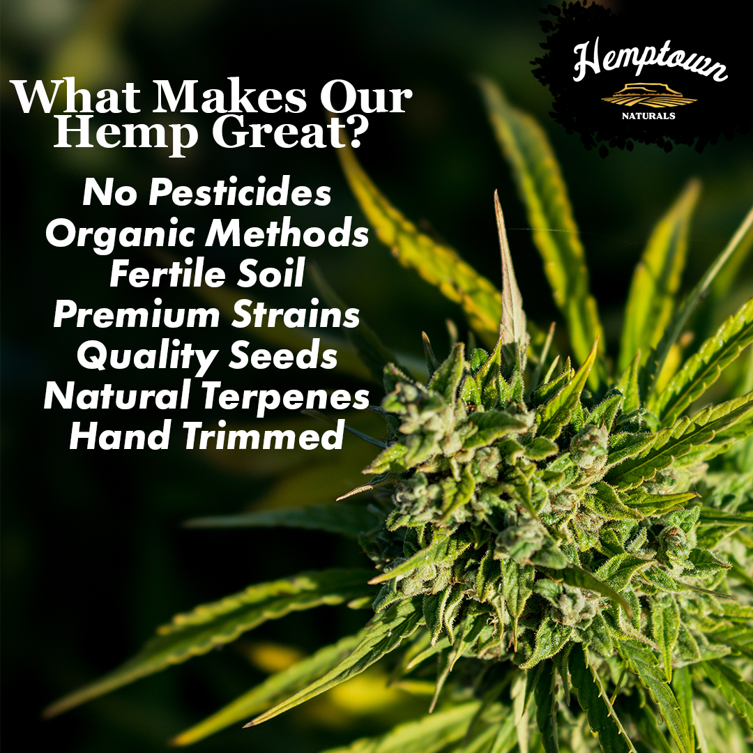 Hemptown Naturals tweet media