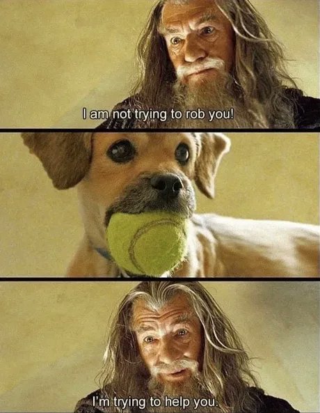 Raichiyo33's tweet photo. Need more lotr memes https://t.co/UpEpILxSZU
