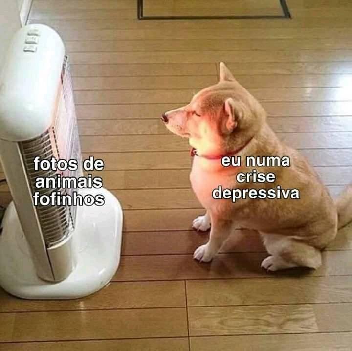 peusaantos's tweet photo. isso é muito real https://t.co/KQC4rSA19B