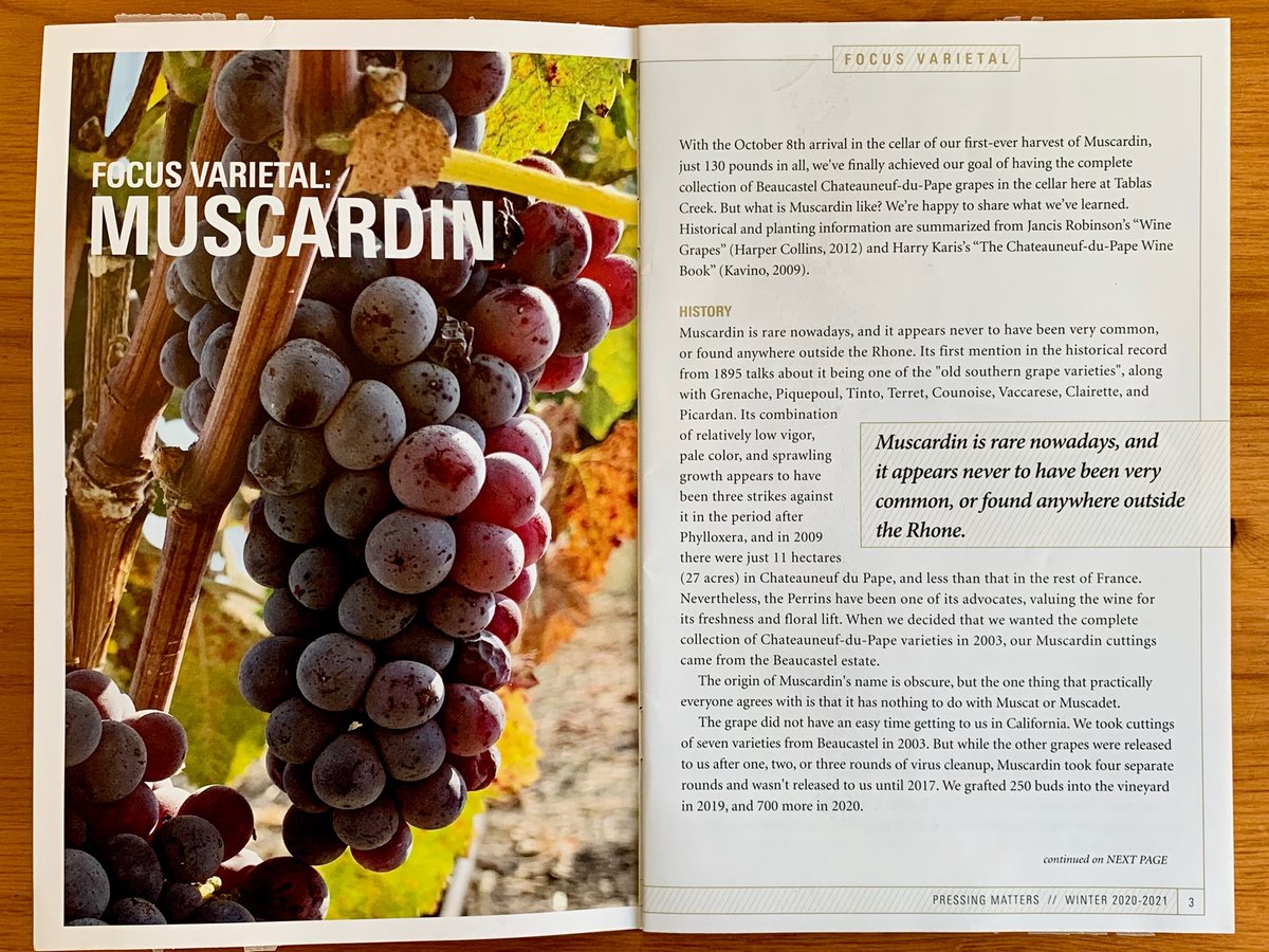 TablasCreek's tweet photo. Did you get the 2020-21 "Pressing Matters" newsletter, with feature stories on #Harvest2020, our new #RegenerativeOrganicCertification and #Muscardin; an updated vintage chart; Holiday Gifts & a great Chicken with 40 Cloves of Garlic recipe. Download it at https://t.co/usqAJBwVLQ https://t.co/cKm2v6pgwb