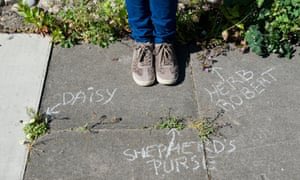 tblackTAB's tweet image. Big fan of grabbing some chalk and becoming rebel botanists! 💪🌱
#notjustweeds #explorersmindset