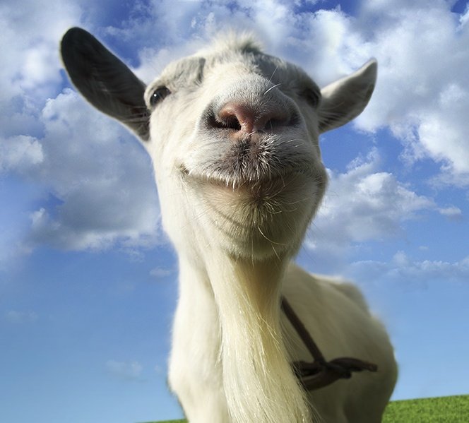 MoonscraperCE's tweet photo. retweet if you recognize this goat https://t.co/ruDjR8xAAu