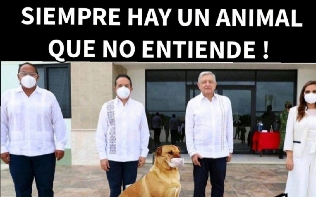 PacheVel's tweet photo. Levante la mano 🙋🏽‍♀️ quién esté de acuerdo conmigo https://t.co/snJwkcLJrv