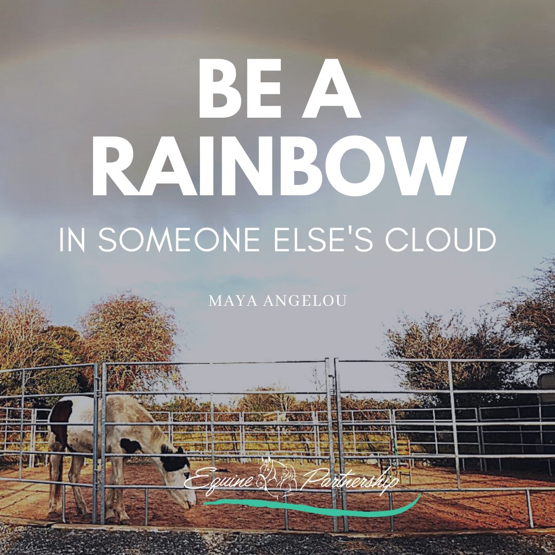 PhillippaC86's tweet photo. I am grateful for all of the rainbows gifted to me 🙏 
#quotes #lifequote #positivevibes #positivelifequotes #positivequotes #quoteoftheday https://t.co/ay0wW7iXkQ