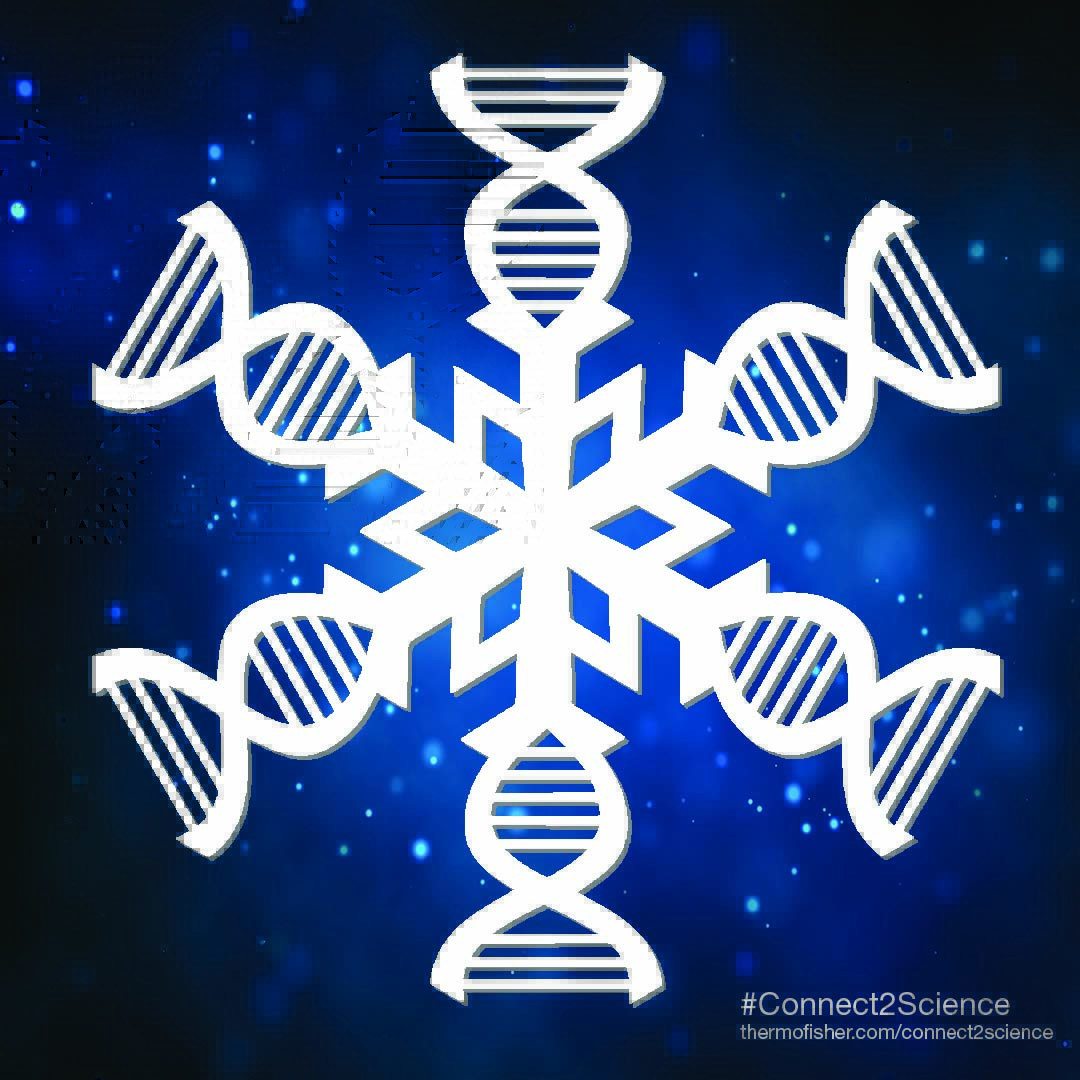 AspireMembers's tweet photo. Is *that* a DNA snowflake? Yes it is! 

Download our  template to create this fun #Connect2Science ❄️ to decorate your home. https://t.co/fWa7Tuo1Ds https://t.co/yTpmxbFlIV