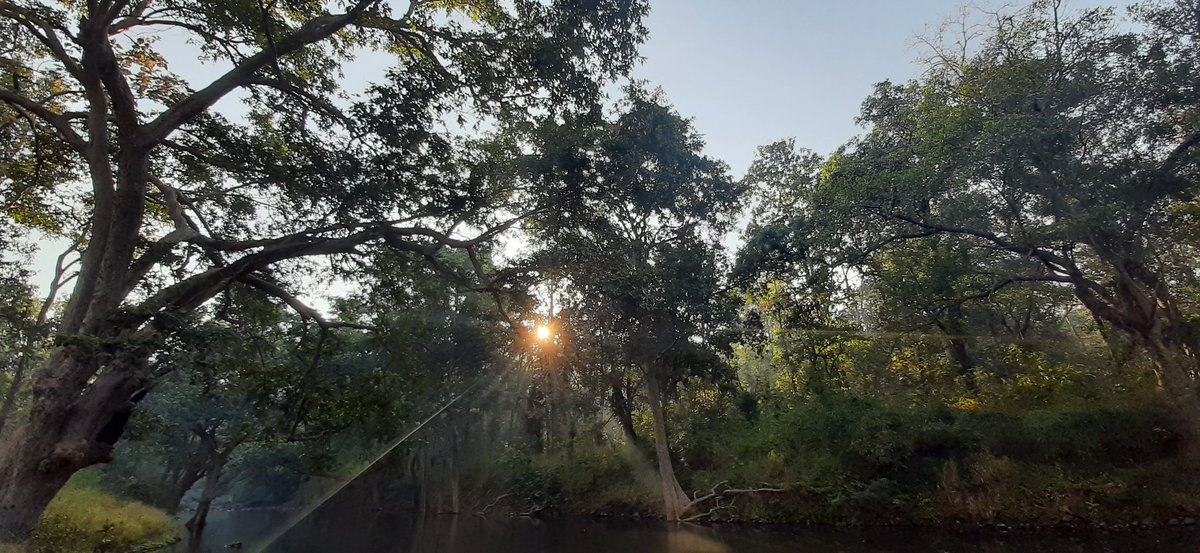 joshiisaurabh's tweet photo. #magicalMelghat
#Tourism #vidhrbha
#semadoh
#junglesaffari
#NaturePhotography
#forests
#wildlifephotography https://t.co/7cqBbZpJNA