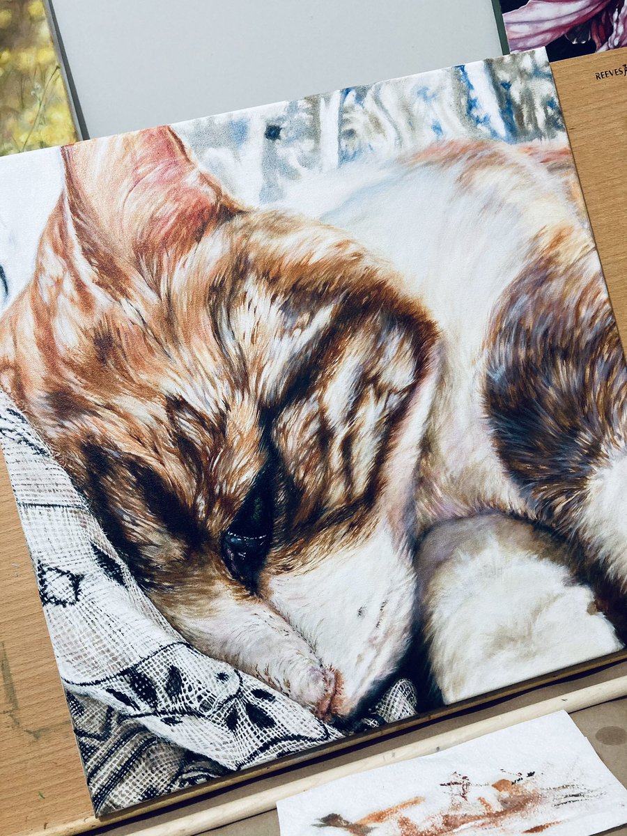 annettevan15's tweet photo. Work in progress, oil on canvas. 🐈Duma 🐈@DalerRowney @CASSART1984 @SocietyScotArt @rosemaryandco #ArtistOnTwitter #art #fineart #ginger #artist #artshare #artwork #oilpainting https://t.co/HIjxkmYgxL