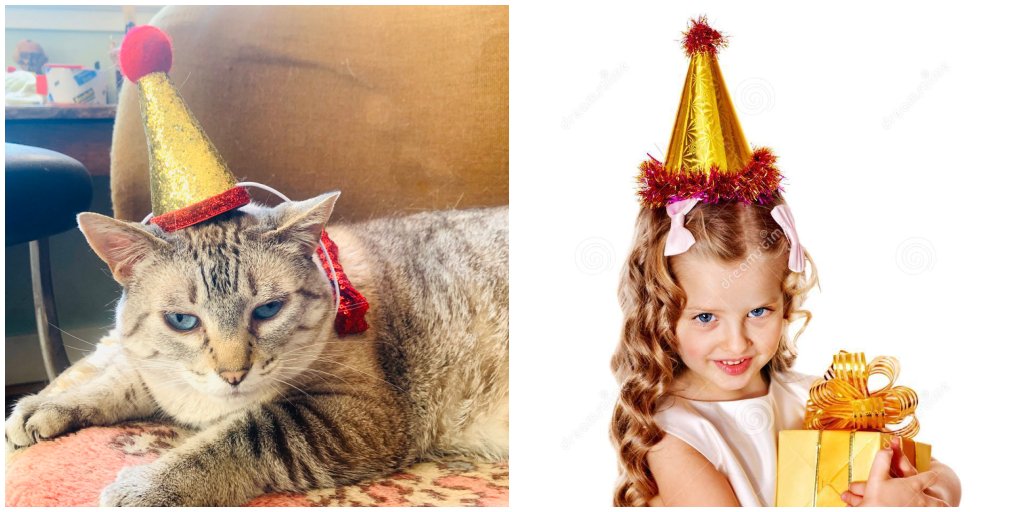 OpCo_VC's tweet photo. Itโs our birthday week and even our girl Frances is celebrating. Who wore it better? #HBDOC #WhatsFrancesWearing https://t.co/6jzG2iWHCW