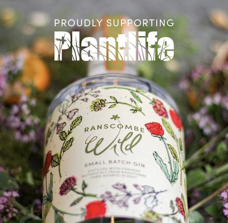 Maidstone Distillery (@mstonedistiller) on Twitter photo Today we make our first quarterly donation to <a href="/Love_plants/">Plantlife</a>, we forage at <a href="/Ranscombe_Farm/">Ranscombe Farm - Plantlife's Flagship Reserve</a> for the botanicals that make our unique, herbaceous and citrus Ranscombe a Wild Gin. Thank you to everyone who has purchased a bottle and helped us support this worthwhile charity! Today we make our first quarterly donation to <a href="/Love_plants/">Plantlife</a>, we forage at <a href="/Ranscombe_Farm/">Ranscombe Farm - Plantlife's Flagship Reserve</a> for the botanicals that make our unique, herbaceous and citrus Ranscombe a Wild Gin. Thank you to everyone who has purchased a bottle and helped us support this worthwhile charity!