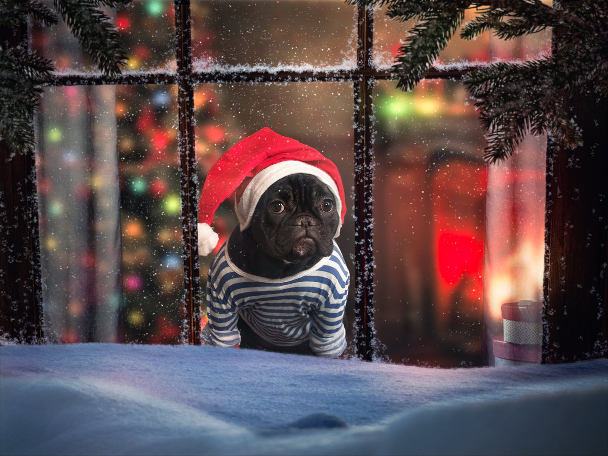 Faces Magazine (@facesottawa) on Twitter photo π $7500 HOLIDAY CONTEST: RT for your chance to win:
π $3500 cash
π $3500 to the #Ottawa charity of your choice
π 1-night stay w/dinner <a href="/BrookstreetOtt/">Brookstreet Hotel</a>
π $100 to <a href="/Cabottos/">Cabotto's Restaurant</a>
π $150 to <a href="/thetenspot/">THE TEN SPOT</a>
π Holiday Photoshoot w/ Stephanie Tudin
Presented by Mattamy Homes ππ π $7500 HOLIDAY CONTEST: RT for your chance to win:
π $3500 cash
π $3500 to the #Ottawa charity of your choice
π 1-night stay w/dinner <a href="/BrookstreetOtt/">Brookstreet Hotel</a>
π $100 to <a href="/Cabottos/">Cabotto's Restaurant</a>
π $150 to <a href="/thetenspot/">THE TEN SPOT</a>
π Holiday Photoshoot w/ Stephanie Tudin
Presented by Mattamy Homes ππ