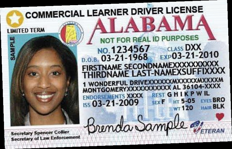 free download alabama commercial driver license manual / Twitter