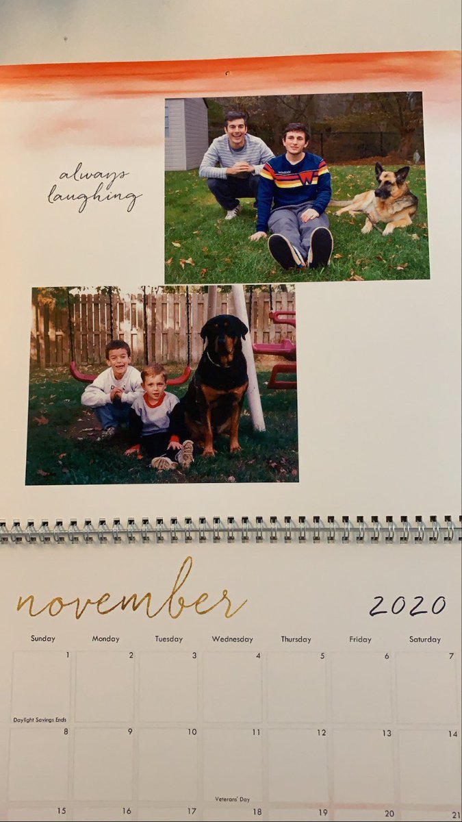 Oct-Dec: for Oct, we stole an alligator/dinosaur costume my mom had in her closet for some reason. to get the Nov & Dec shots, we ended up having to make an Xmas card to keep mom from getting suspicious. also peep the band-aid on Jared’s knee in Dec pic  #attentiontodetail (6/6)