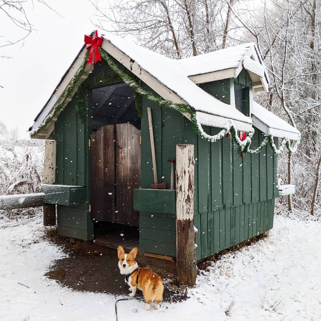Wouldn't you love to happen upon this little cabin in the woods? 🌲🏠⁣
⁣
Escape Maze's Outdoor Adventure Games take you thru one of 5 trails, incl. this holiday-themed one! Safe, family-friendly &amp; local fun!

📸  <a href="/EscapeMaze/">Escape Maze</a>
⁣⁣⁣
#DiscoverON #ExperienceKN #Ptbo #theKawarthas