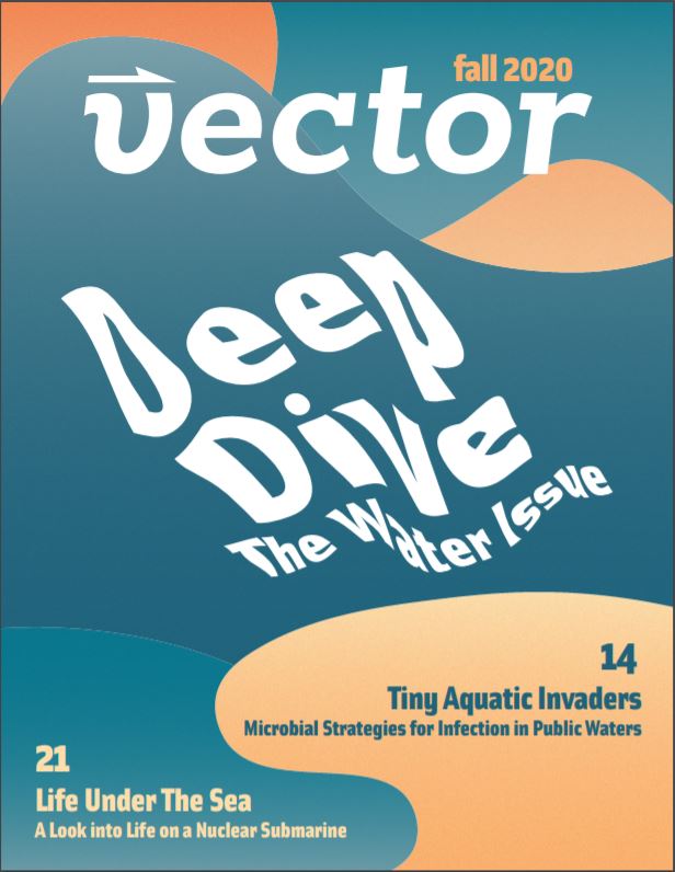 vector_eng's tweet image. The Fall 2020 issue of Vector Magazine is now available on our website at utvector.com/fa20!