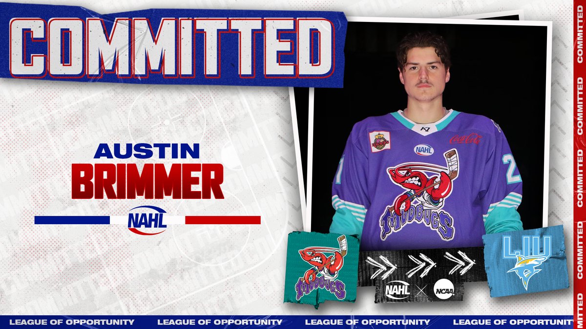#NAHL Commitment Alert: <a href="/mudbugshockey/">Shreveport Mudbugs</a> forward Austin Brimmer has committed to play NCAA Division 1 <a href="/collegehockey/">College Hockey Inc.</a> for <a href="/LIUMHockey/">LIU Men’s Ice Hockey</a> nahl.com/news/story.cfm…