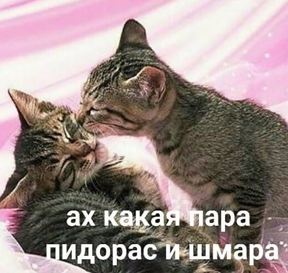 7glebqa7's tweet photo. @yevolos https://t.co/nkuHbvyZrQ