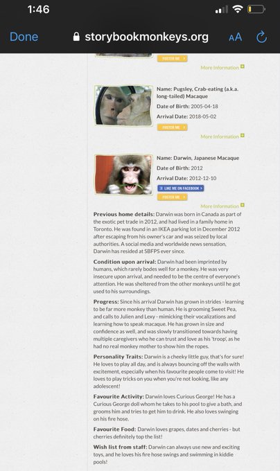 Watch 🔥Haute and Cold🧊's leaked NSFW photo on TwXstars