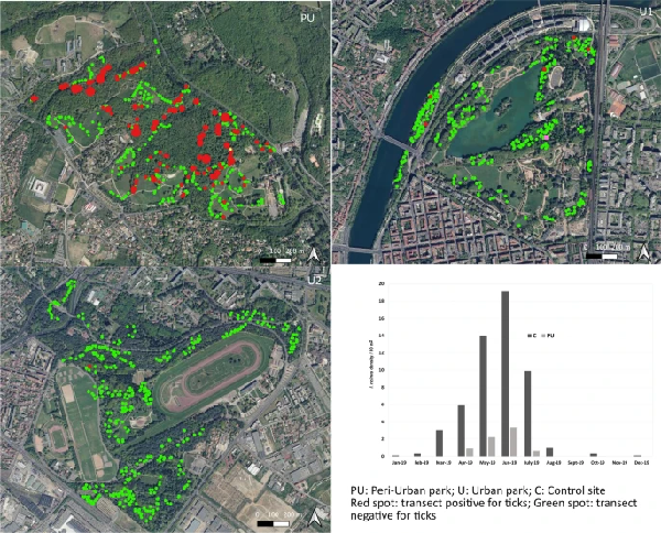 Questing tick abundance in urban and peri-urban parks in the French city of Lyon
parasitesandvectors.biomedcentral.com/articles/10.11…