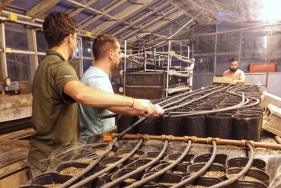summabio's tweet photo. Ensayo en el marco del convenio con @fcaunc
Junto al Ing. Agr. Alejandro Perez  continuamos en la búsqueda de nuevas cepas de microorganismos de interés agrícola.
🌱
🌱
🌱
🌱
🌱
#Inoculante  #Ensayo #Fertilizante #DesarrolloAgrícola #Agricultura #Agro #UNC #VinculaciónAcadémica https://t.co/wXmDr0fzGQ
