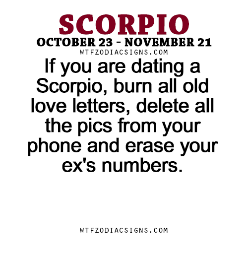 Scorpio Season 🦂 tweet media